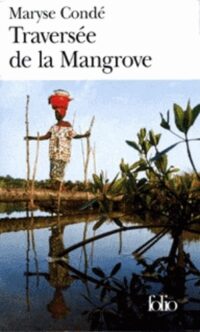 Traversée de la mangrove