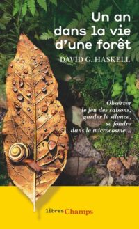 Un an dans la vie d’une forêt