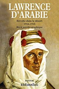 Révolte dans le désert (1916-1918)