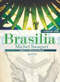 Passeport pour Brasilia