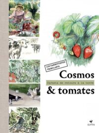 Cosmos & tomates