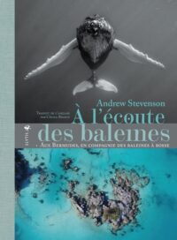 À l’écoute des baleines
