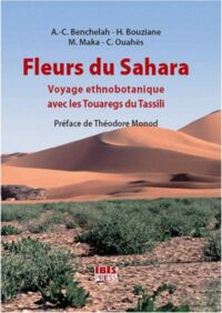 Fleurs du Sahara