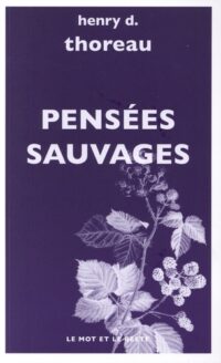 Pensées sauvages