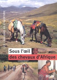 Sous l’œil des chevaux d’Afrique