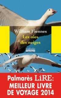 Les oies des neiges