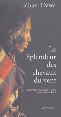 La Splendeur des chevaux du vent