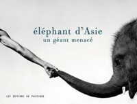 Éléphant d’Asie