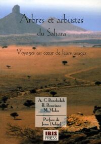 Arbres et arbustes du Sahara