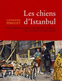 Les Chiens d’Istanbul