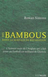 Des bambous dans la surface de réparation