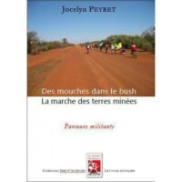 Des mouches dans le bush
