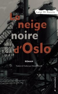 Neige noire d’Oslo