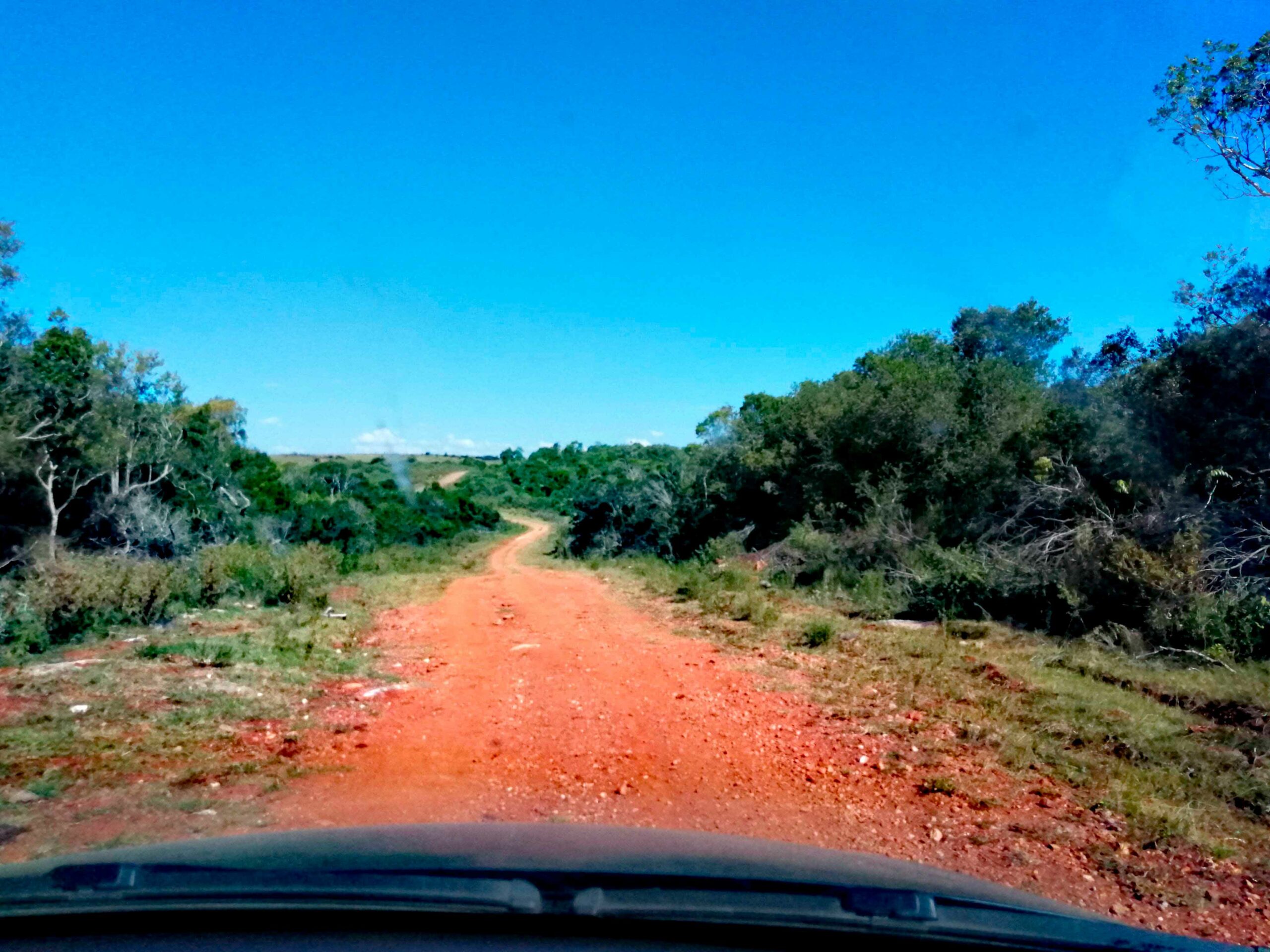 Lire la suite à propos de l’article Récit de voyage de Gérard #2 : L’Uruguay